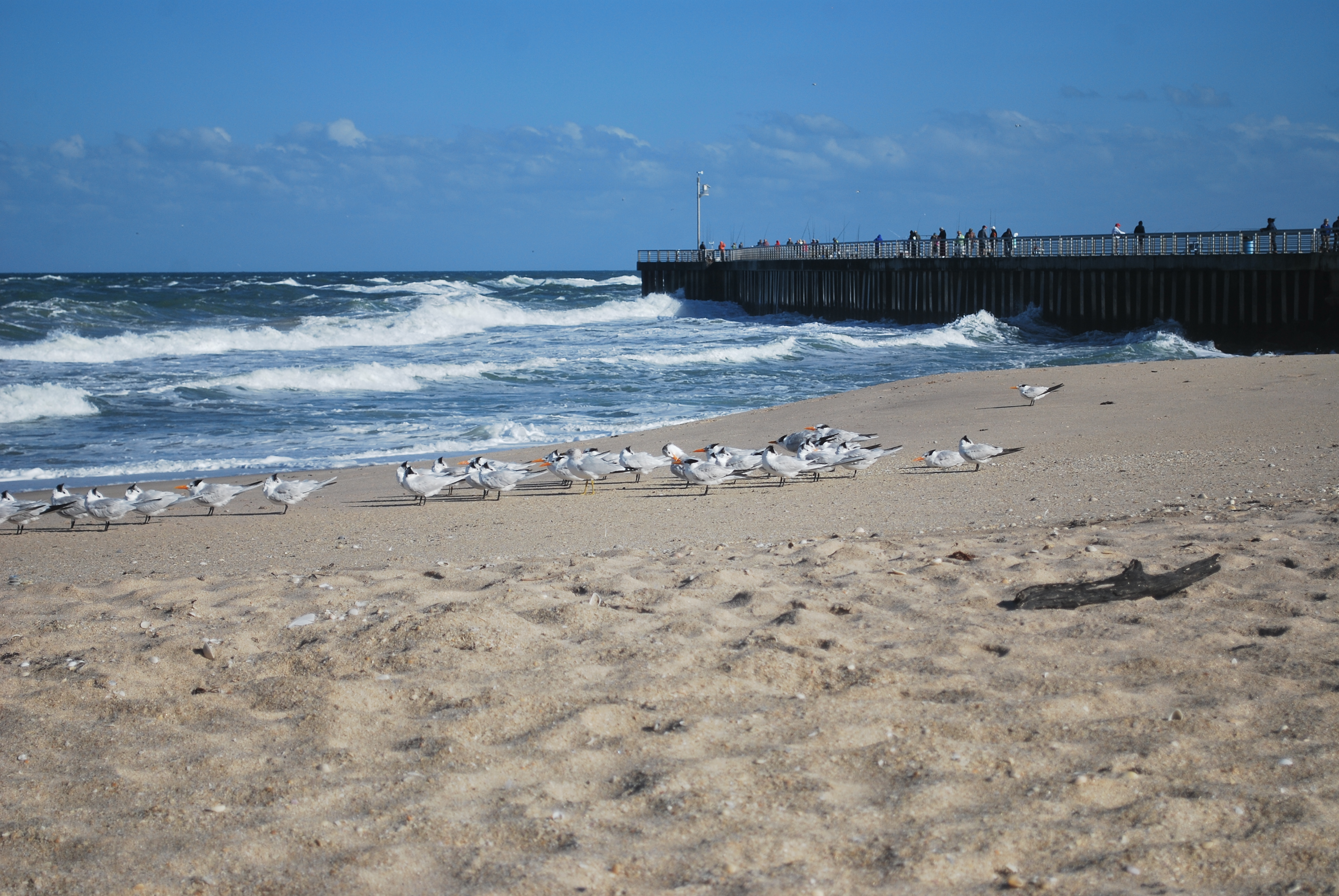 Sebastian Inlet State Park in Florida