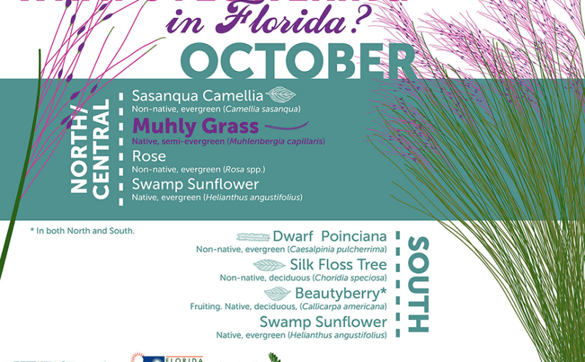 What’s Blooming in&nbsp;Florida?
