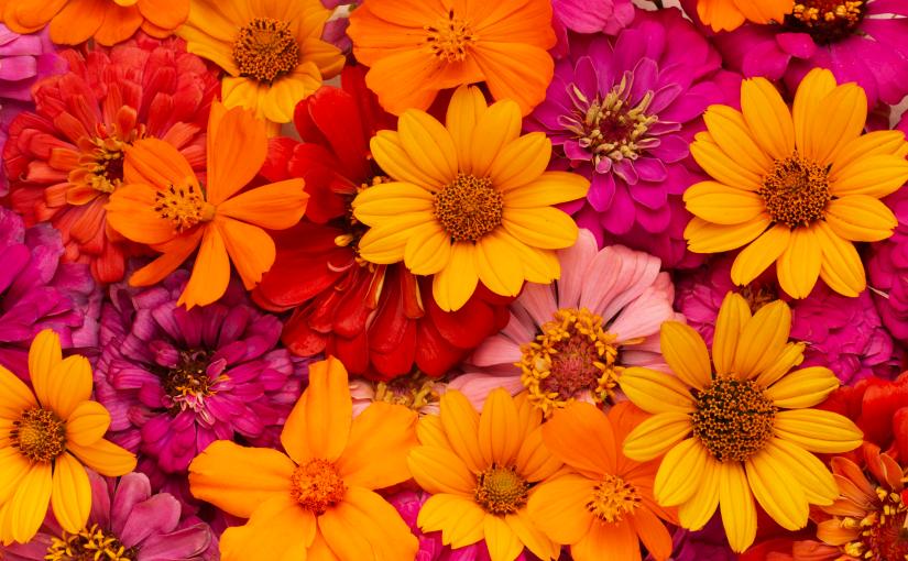 14 Spring Trivia Questions and&nbsp;Answers