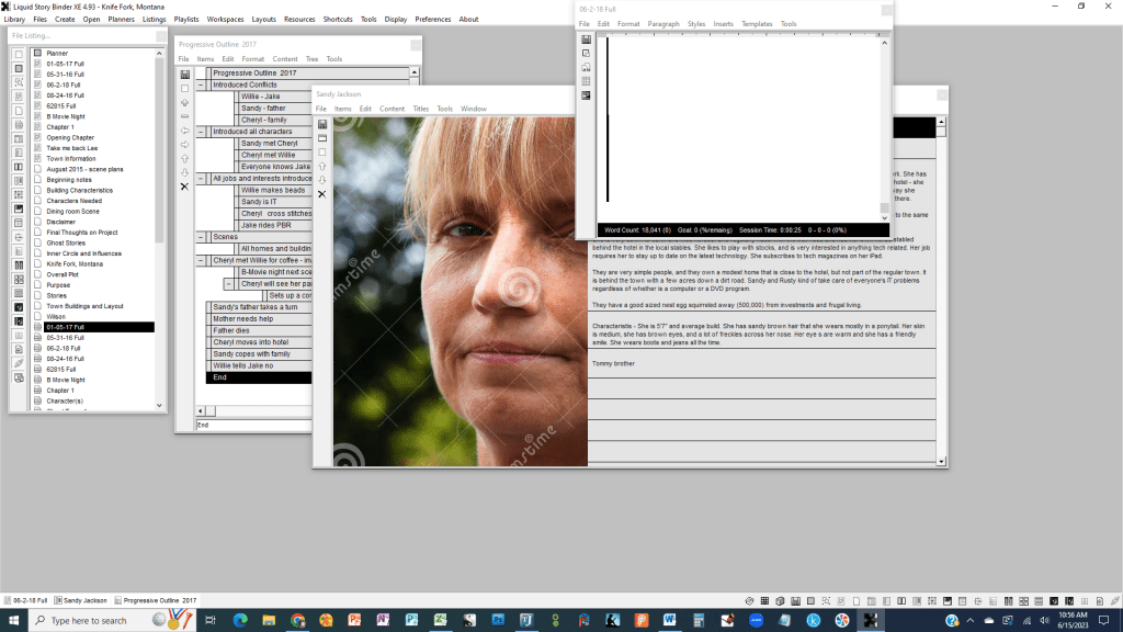 Liquid binder XE software for writers is a great way to start if you're on a budget.