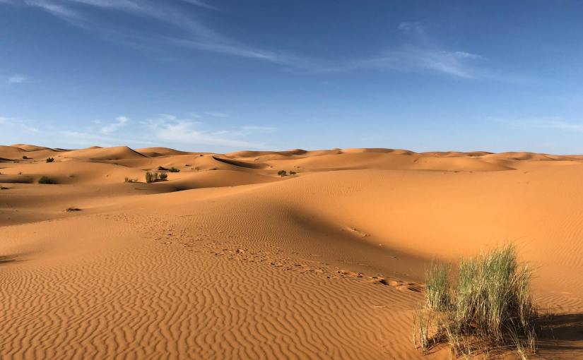 15 Major World Deserts Trivia Questions and&nbsp;Answers