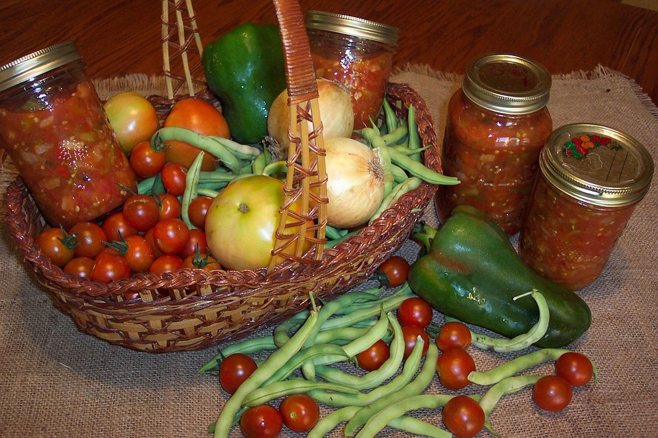 Florida gardening tips for getting the most harvest from your efforts. 