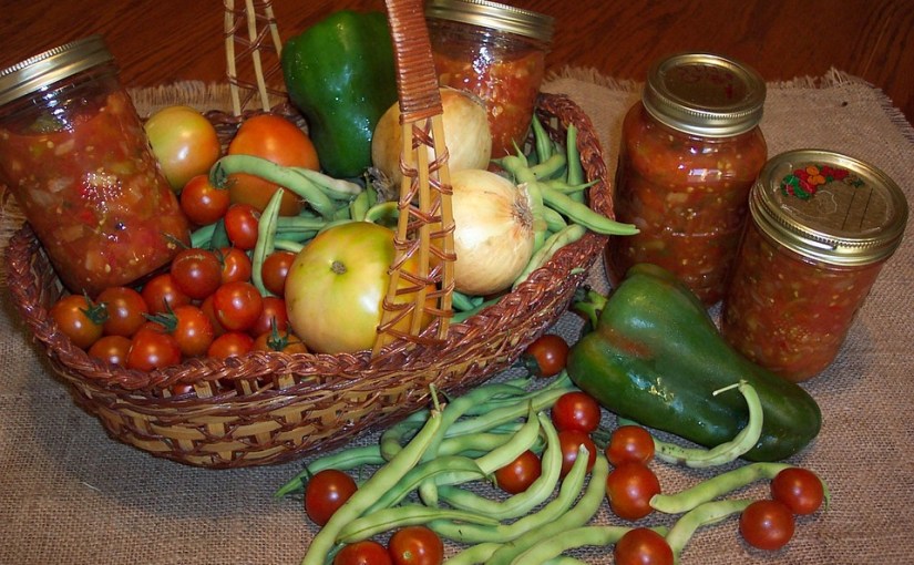 Florida Gardening Tips