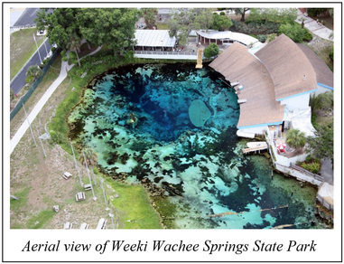 Florida's Natural Springs 
